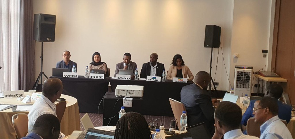 Multilingual conference table prepared for IGAD member states